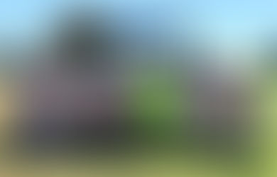 Soccer team makes college history