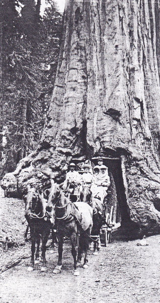 First stage raised ruckus in Fresno Flats