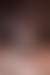 Local olive oil takes 2nd at food expo