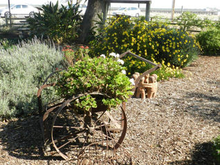 Gardens tour, sale returns this weekend