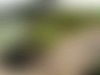 Gardens tour, sale returns this weekend