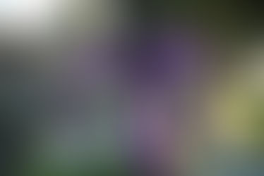 Decorating in remembrance of a daughter