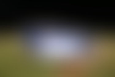 MNLL comes back to win Section