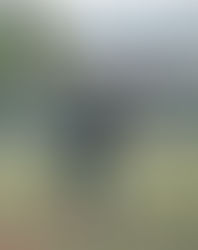 Stallions get combined no-hitter