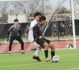 Stallions get overtime win