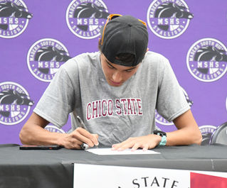 Stallion pair heading to Chico