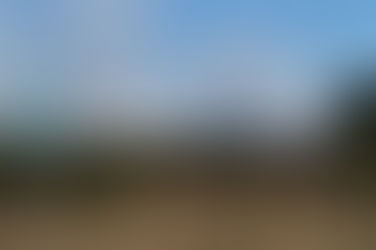 Bird sparks wind fire