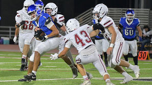 Coyotes cruise by Paso Robles