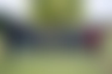 Three Madera-area teams heading to State