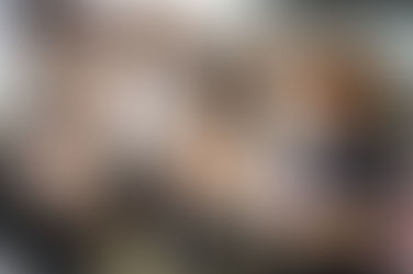 Madera companies show off