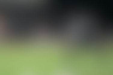 Toros pick up complete victory