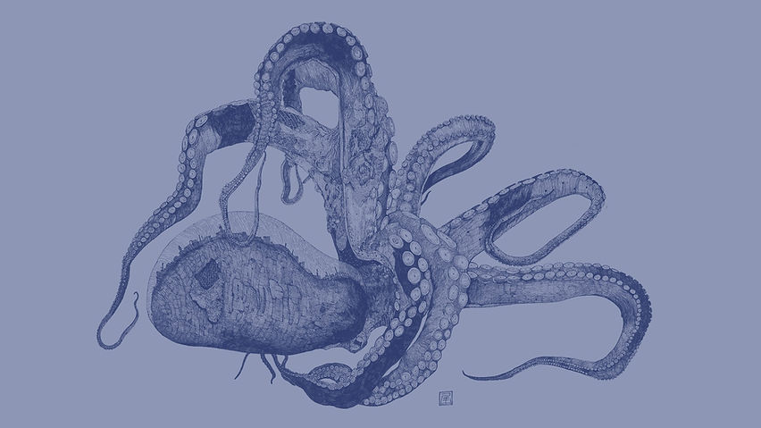 tako%20a2_edited.jpg