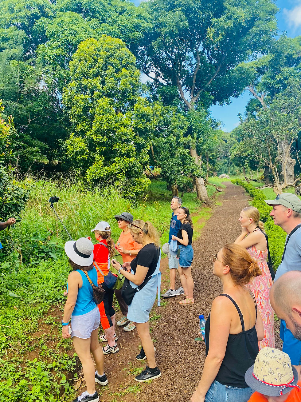 Tour group exploring lush nature, spice island experiences.