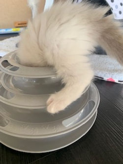 looks like I'm stuck!