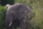 image-15.jpg