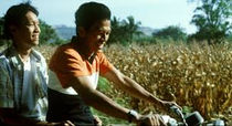 TROPICAL MALADY (2004)