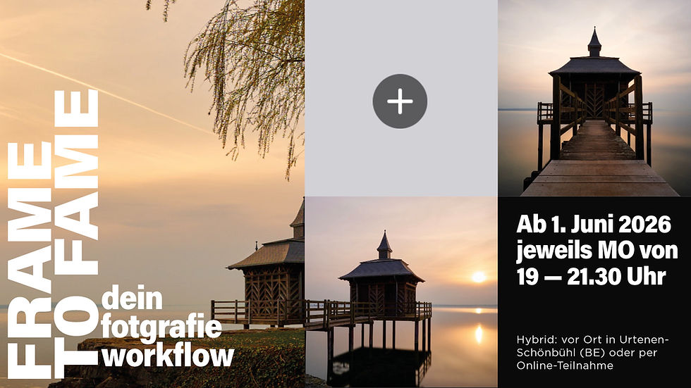 Frame to Fame – Der Workflow für Fotografie | Modul 1: Online-Präsenz & Portfolio-Konzeption