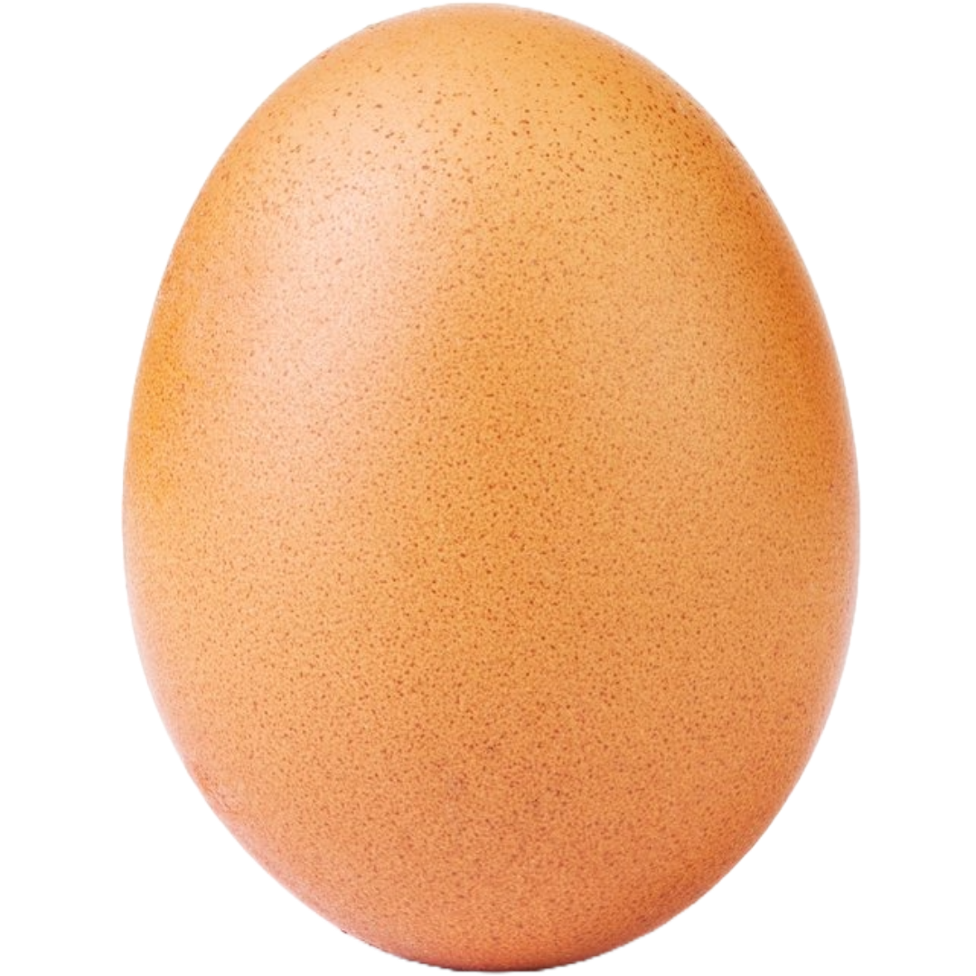 Untitled - 2024-10-31T163300.936.png