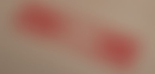 [Daily Maverick] Disinformation is a grave threat to democracy