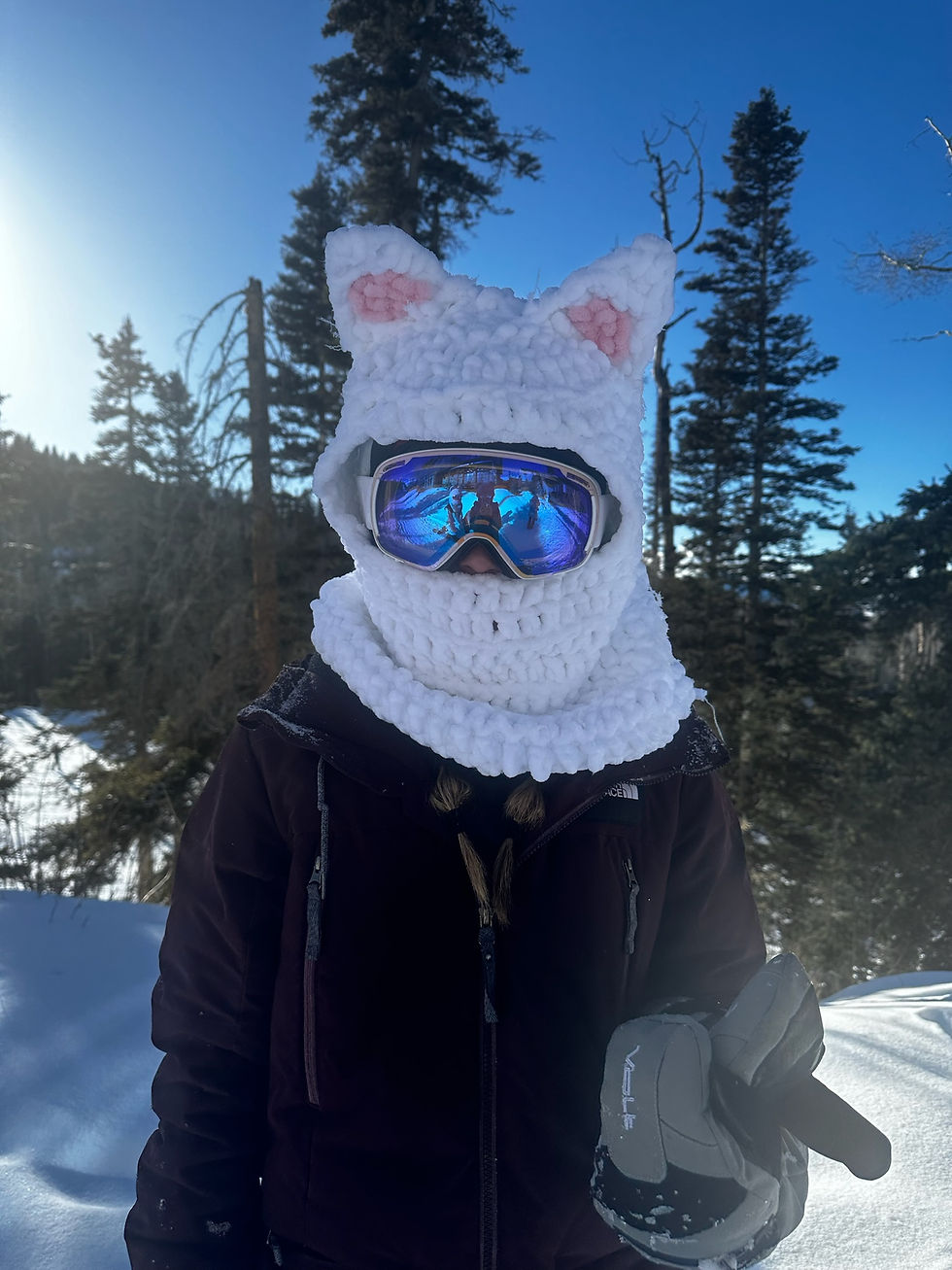 Cat Helmet Cover