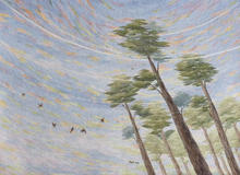 A Breezy Afternoon.jpeg