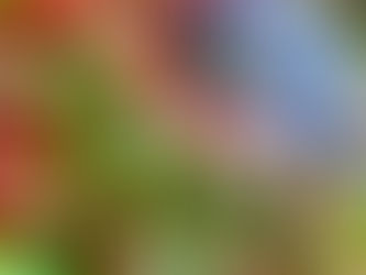 CREATING MY OWN BALANCE