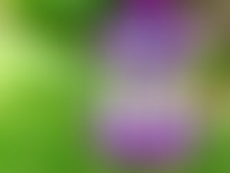 IT'S A RUNDERFUL LIFE