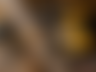 Employment Law for Tradies