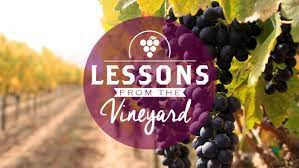 "Lessons From A Vineyard"