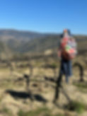 IMG_0094.jpeg