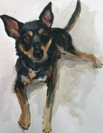 Young Pup German Shepard / watercolor