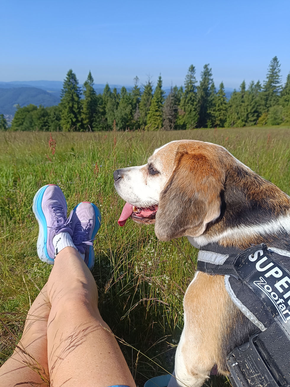 Dobry wygląd oznacza dobre życie?