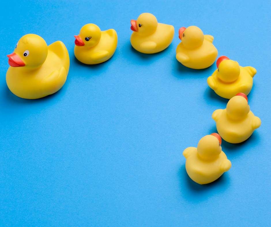 MURAL Funktionen Summon & Follow