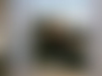 Mein August 2020 - ein Rückblick