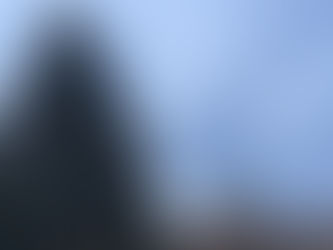 Mein Dezember 2020 - Flamingopink