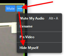 Screenshot mit Hinweis auf Optionen und azf Option Hide Myself