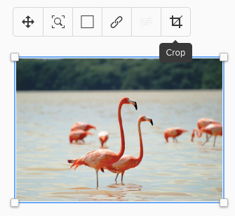 Screenshot von Flamingobild welches zurechtgeschnitten wird