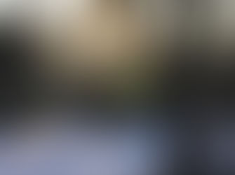 Mein Januar 2019