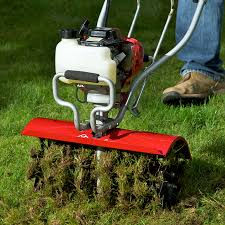 Thumbnail: Lawn scarification and aeration