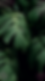 Copy of tropical nail tech acuity site.zip - 5.PNG