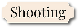 Titoli Servizi - Shooting.png