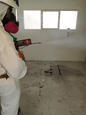 fumigacion con el equipo adecuado en el lugar indicado.