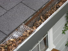 How to Keep Your Gutters Clean During Fall