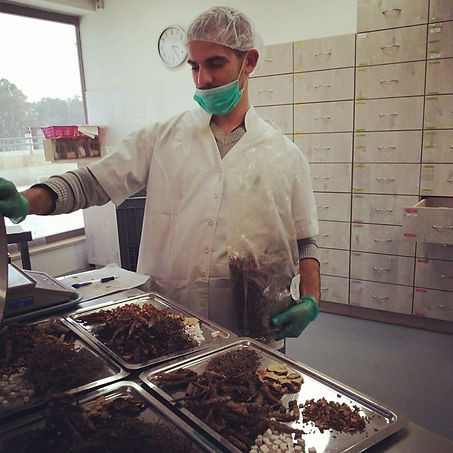 הזיכרונות שלי מזן  - _האמת שיש לי רק תמונה אחת כי אף פעם לא צילמתי בגלל שהפלאפון שלי מעפן,