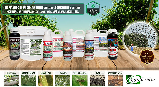 especiales web 04082020.jpg