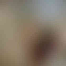 dioro galerie paris fleur naima fine art