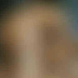 dioro galerie paris fleur naima fine art