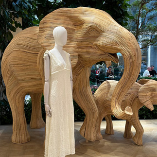 dioro galerie paris fleur naima fine art