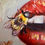 Thumbnail: Fait moi Rêver - Bee Love | Oil Painting