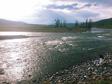 naimanamaste-yellowstonenationalpark2